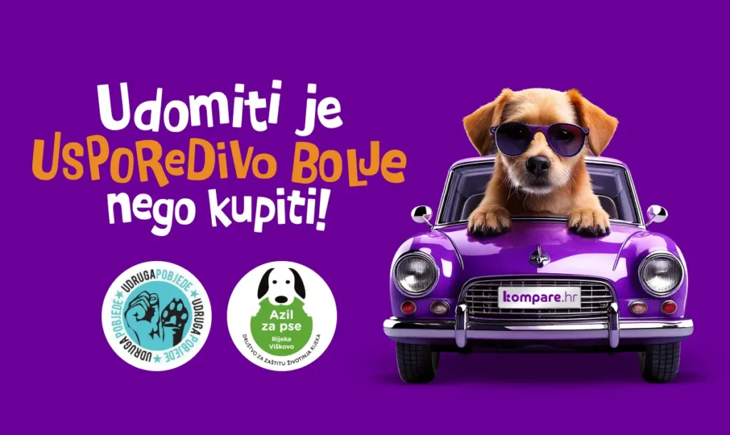 Kako smo Black Friday obojili u ljubičasto i donirali azilima